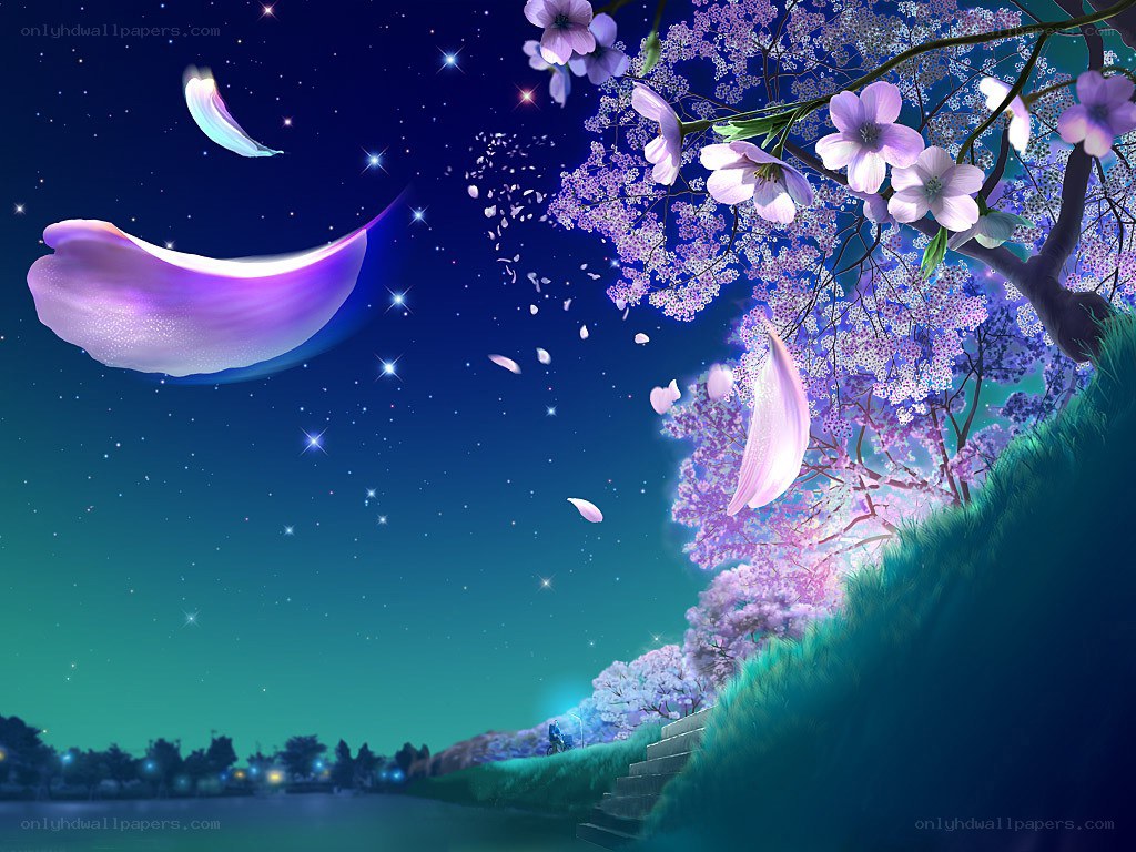Cherry blossoms under starry sky