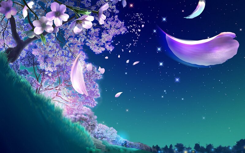 Cherry blossoms under starry sky