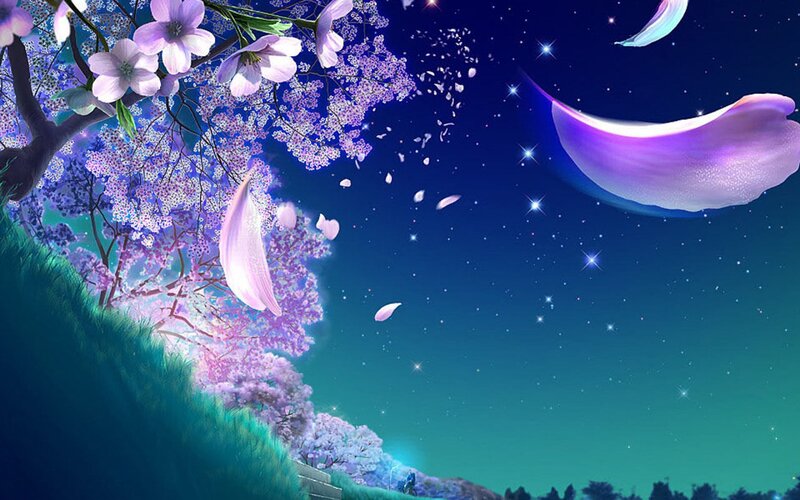 Cherry blossoms under starry sky