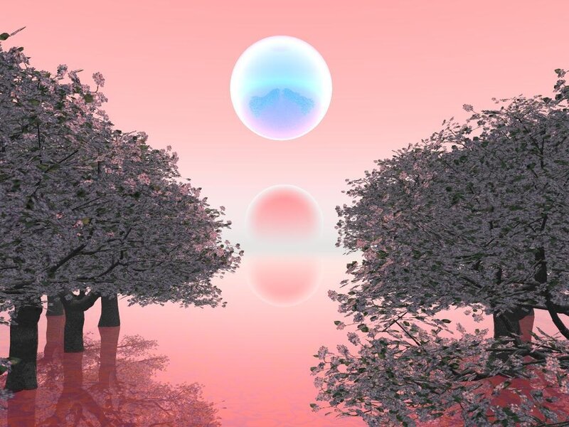 Cherry blossoms under twin moons