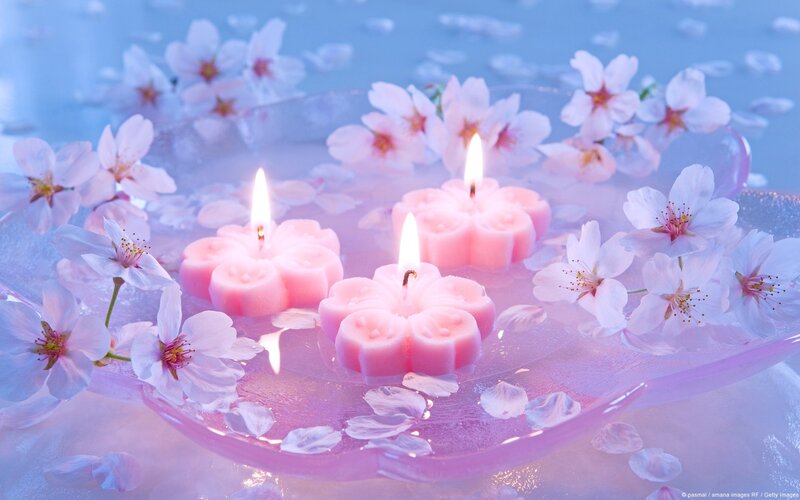 Cherry blossoms with candles