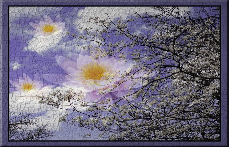 Cherry blossoms with lotus mosaic