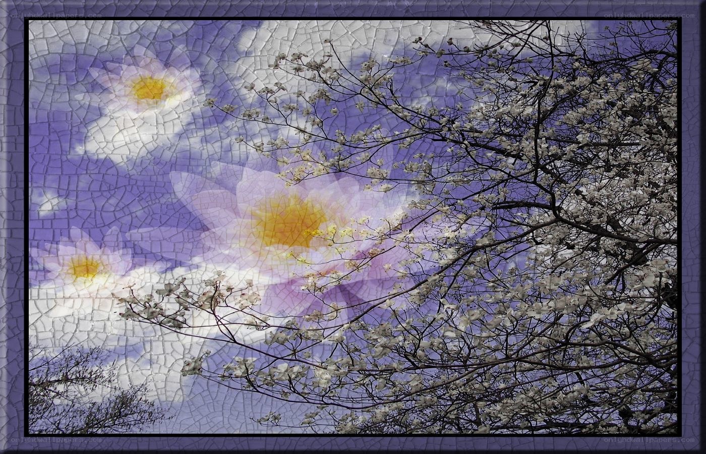 Cherry blossoms with lotus mosaic