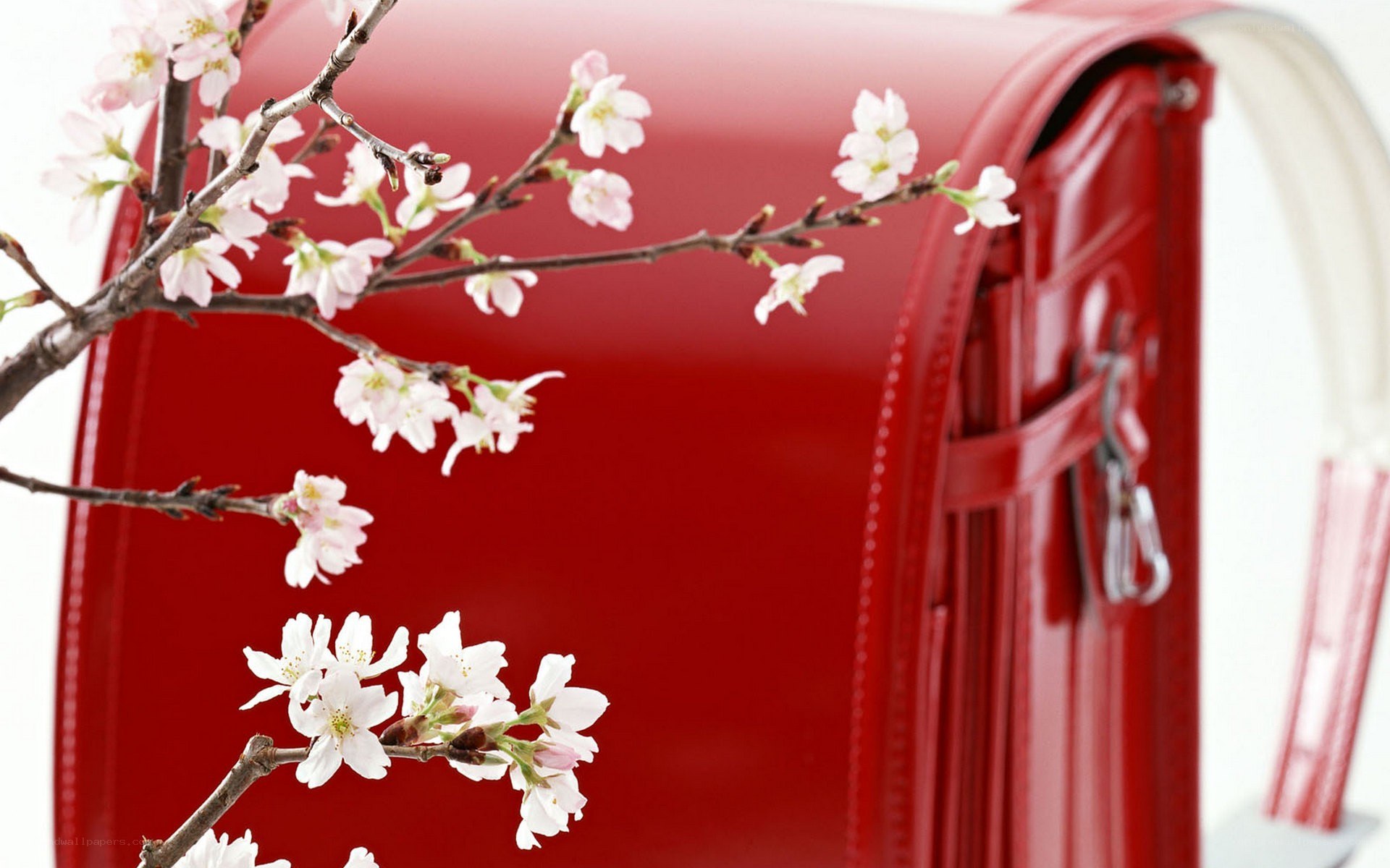 Cherry blossoms with red bag
