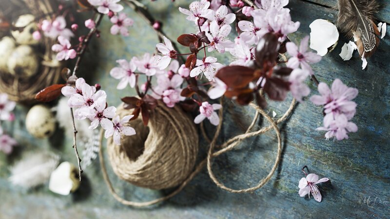 Cherry Blossoms with Twine