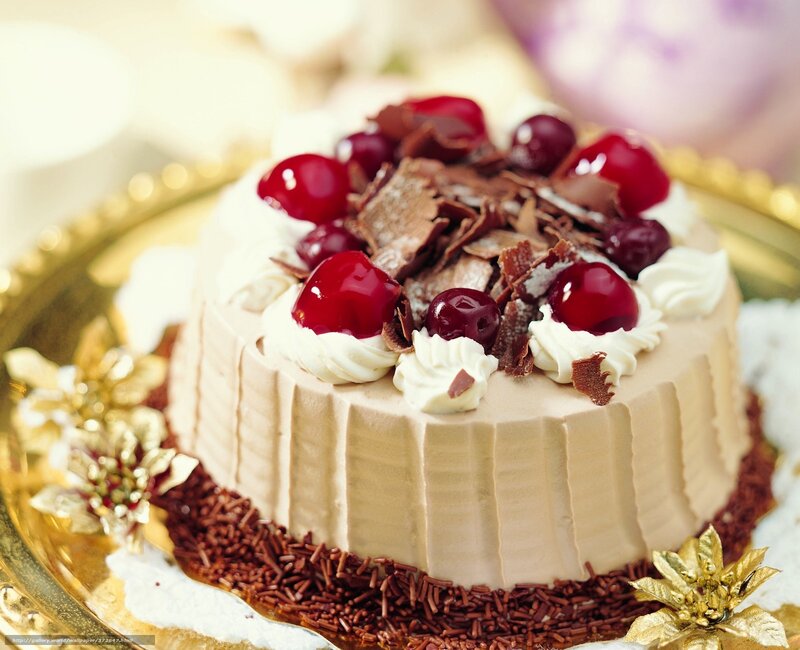 Cherry Chocolate Cake — Brown, Festive, Photograph, Cherries