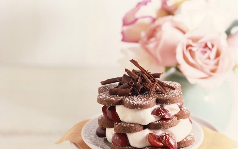 Cherry Chocolate Dessert — Brown, Delicate