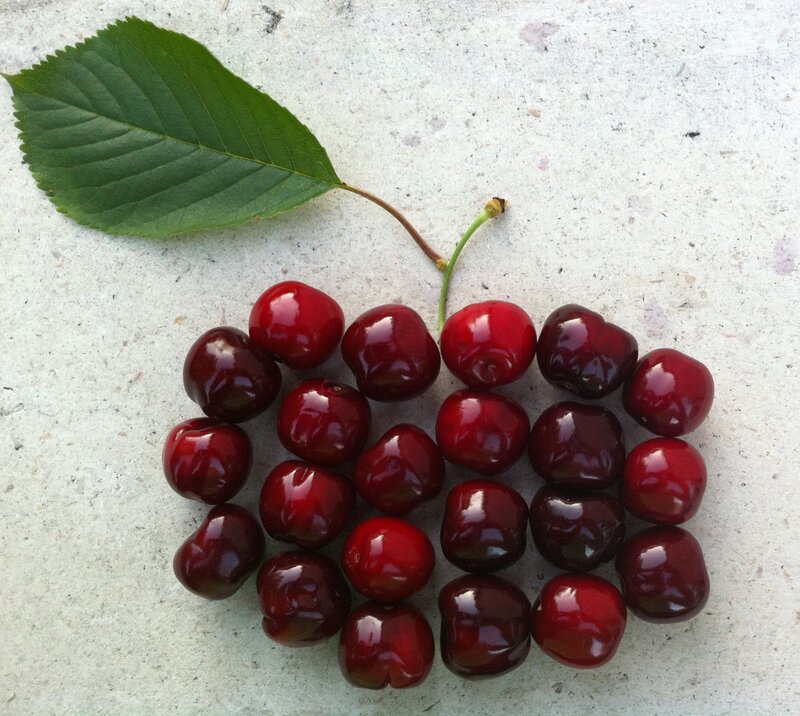 Cherry Cluster with Leaf