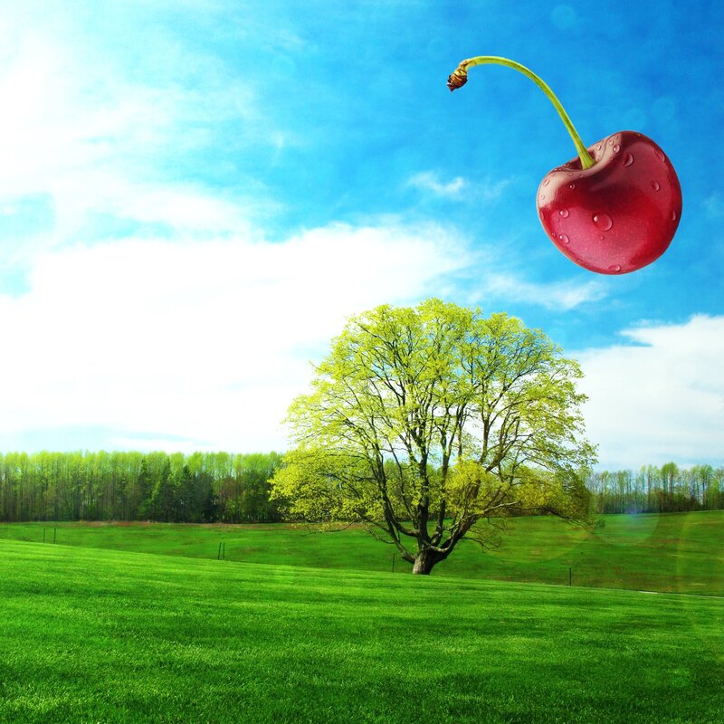 Cherry in a green field