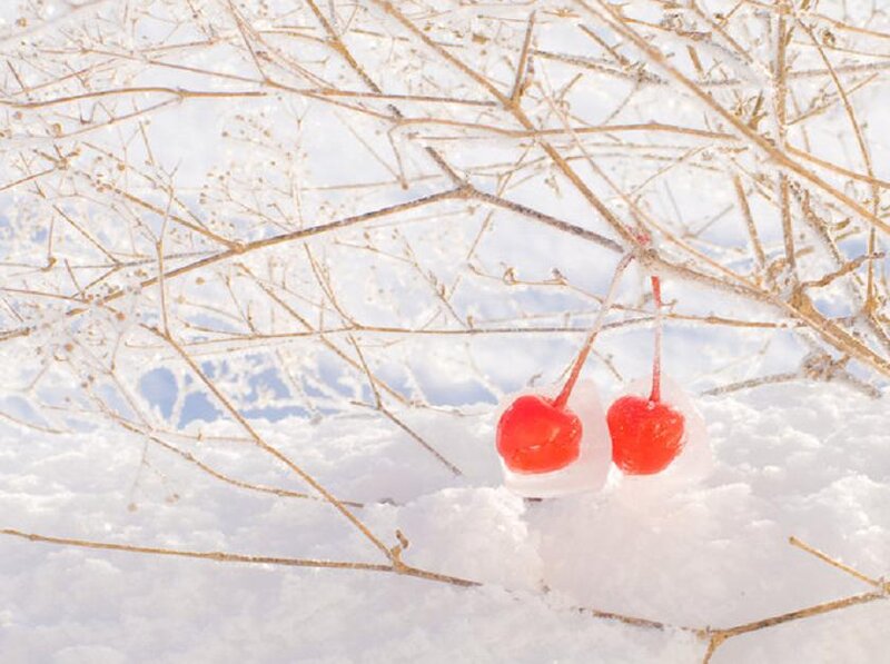 Cherry in Snow