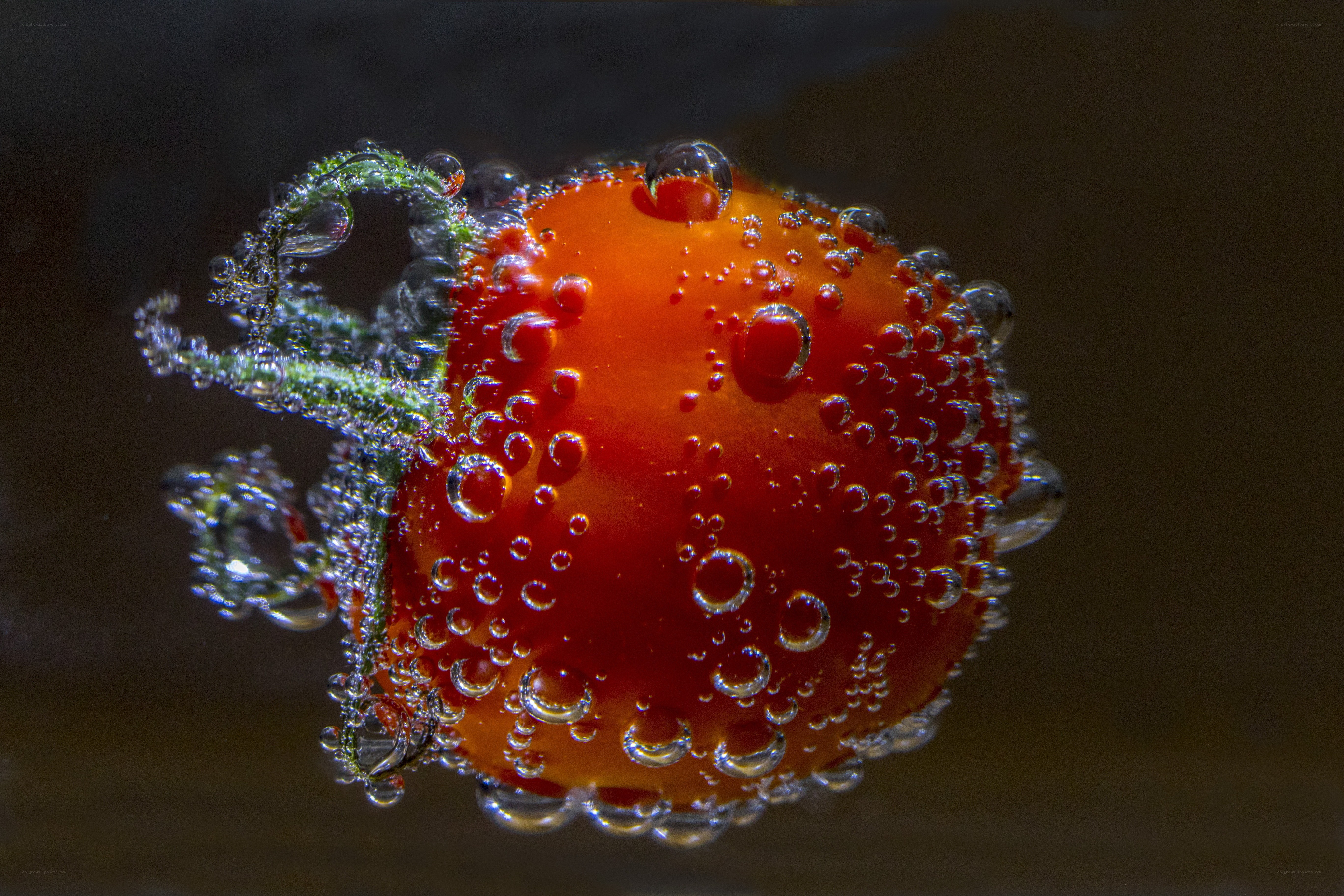 Cherry tomato underwater