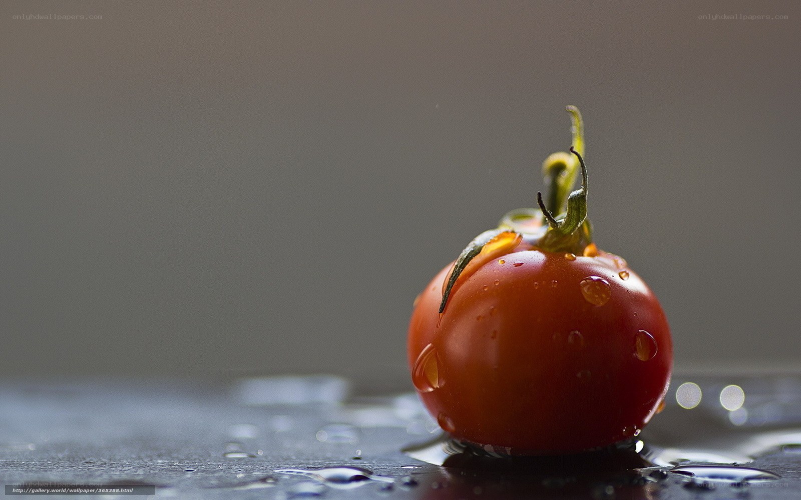 Cherry tomato with water droplets