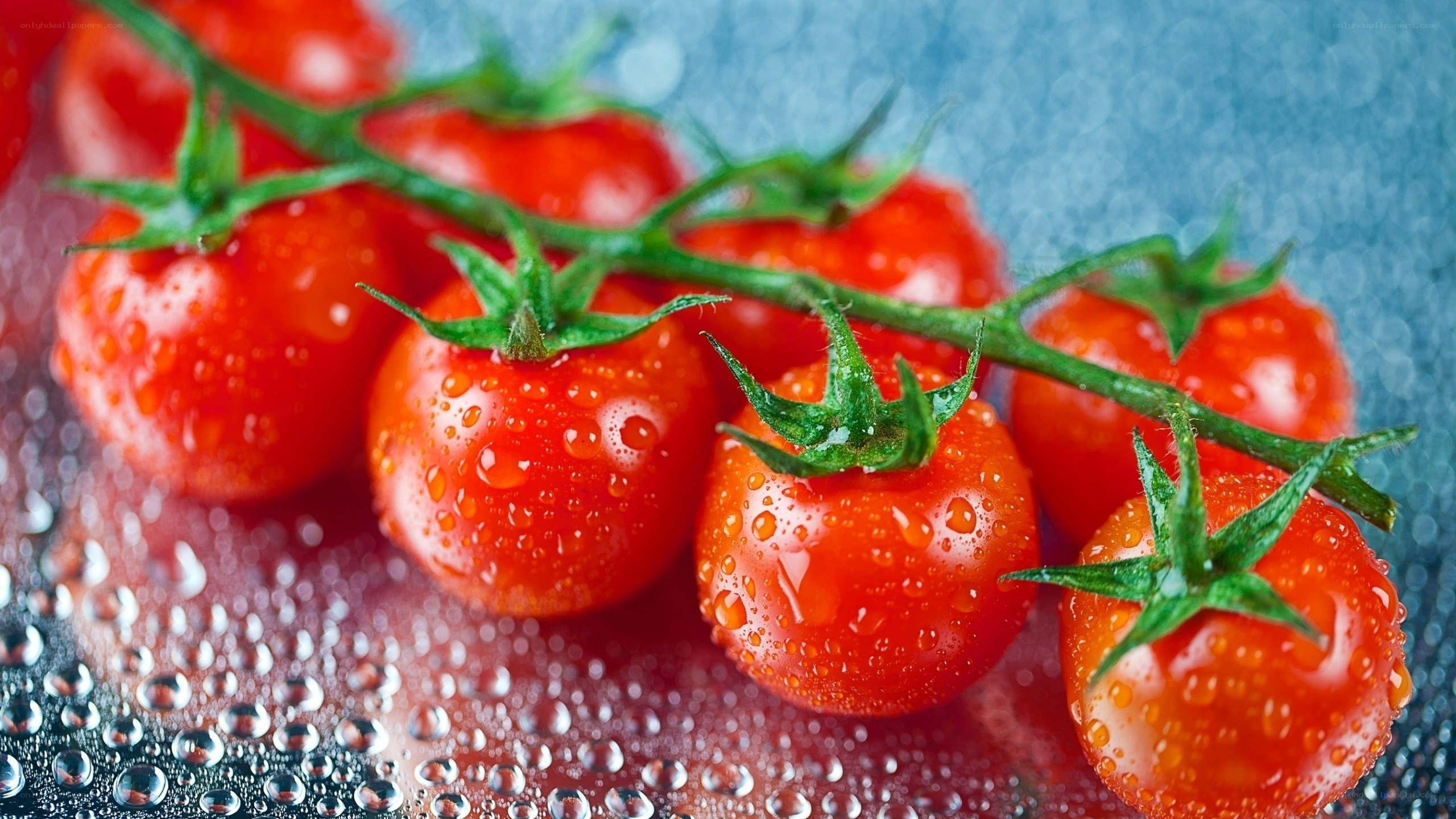 Cherry tomatoes on a vine