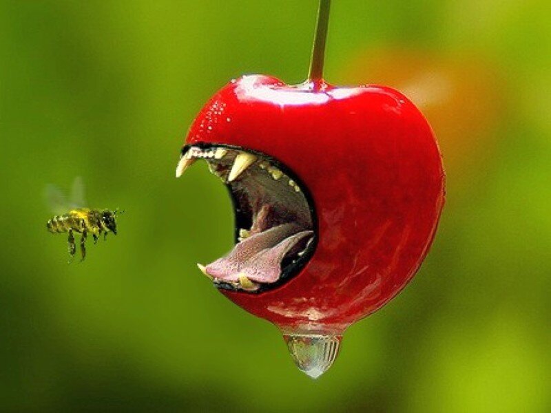 Cherry with Mouth — Red