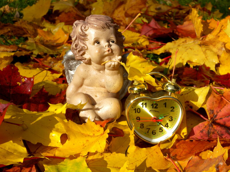 Cherub Statue in Leaves