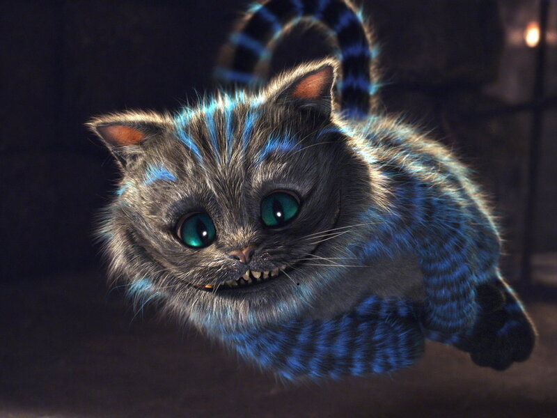 Cheshire Cat Floating — Gray, Mysterious