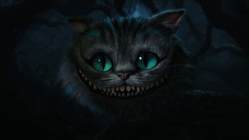 Cheshire Cat — Gray, Dark, Night