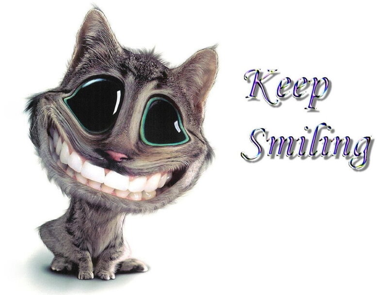 Cheshire Cat — Gray, Playful, Digital Art, Text