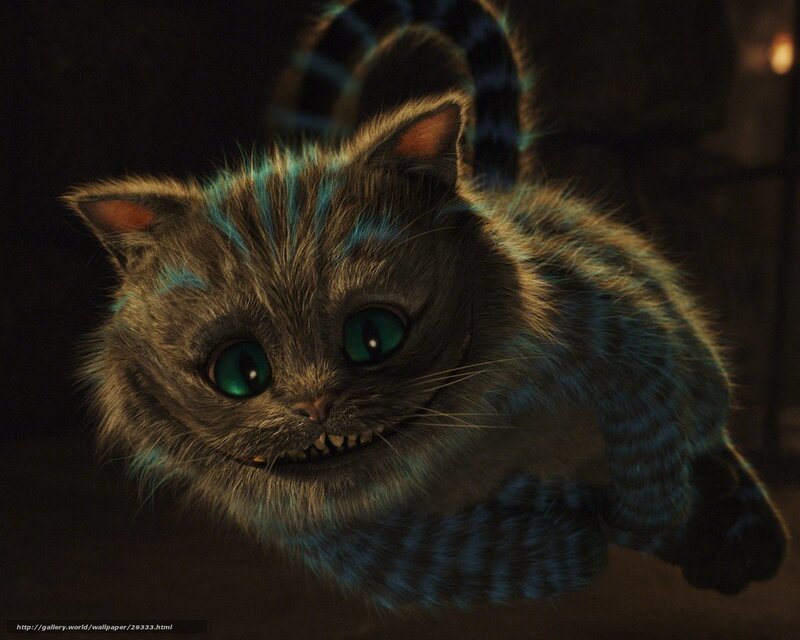 Cheshire Cat — Gray