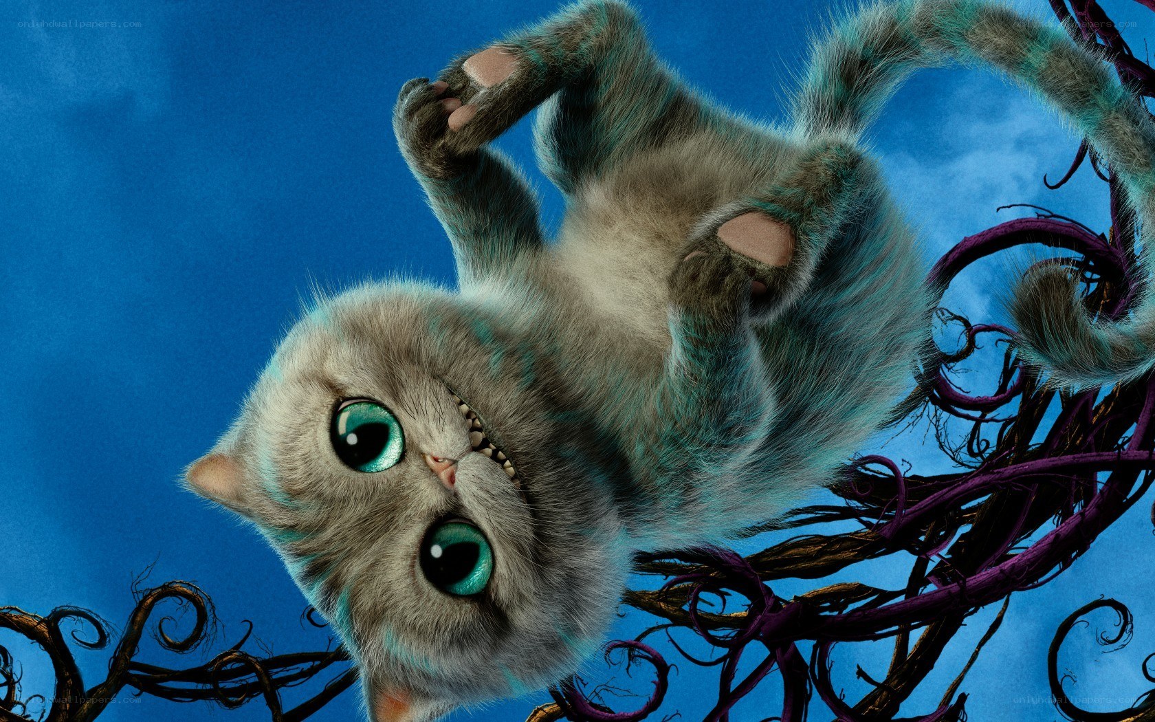 Cheshire Cat hanging upside down