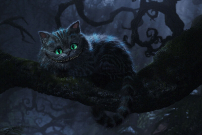 Cheshire Cat in a dark forest