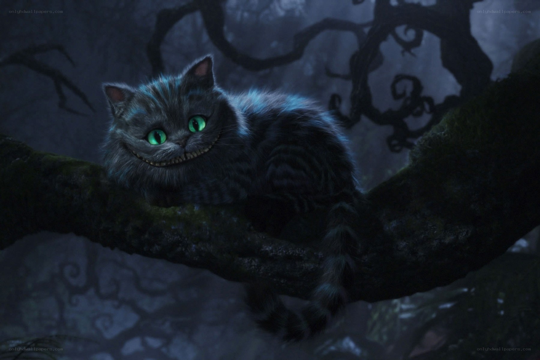 Cheshire Cat in a dark forest