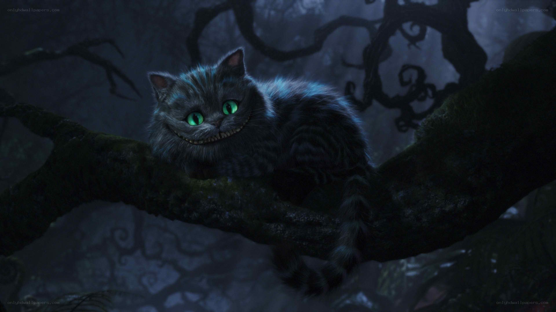 Cheshire Cat in a dark forest