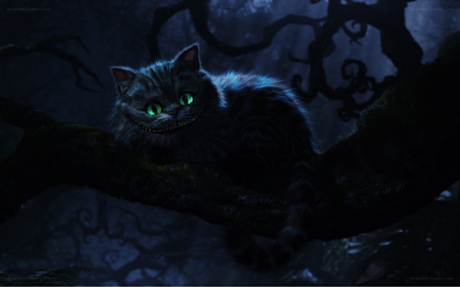 Cheshire Cat in a dark forest