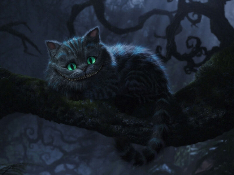 Cheshire Cat in a dark forest