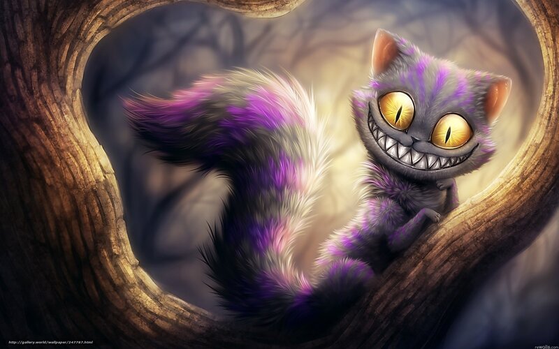 Cheshire Cat in a tree