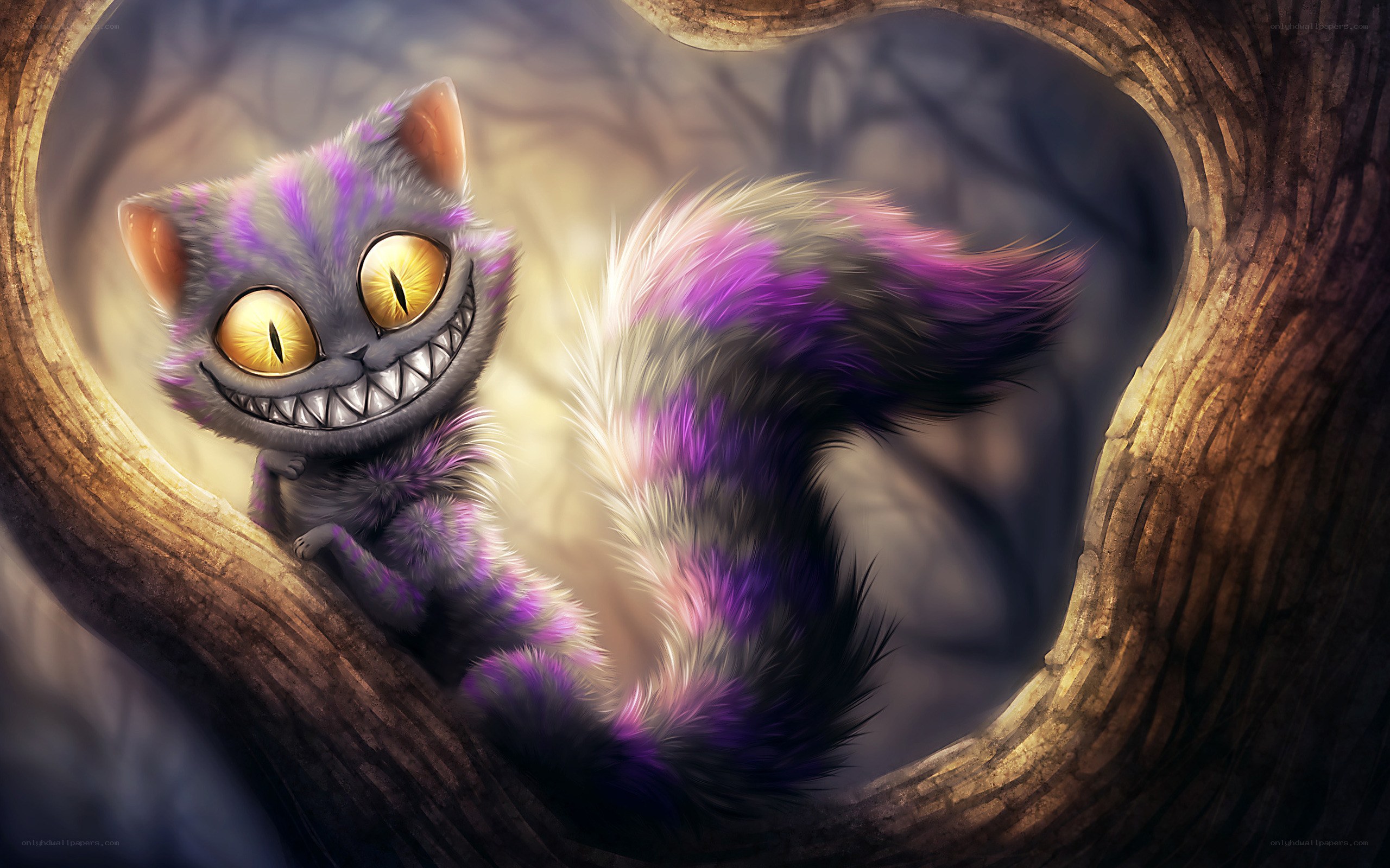 Cheshire Cat in a tree