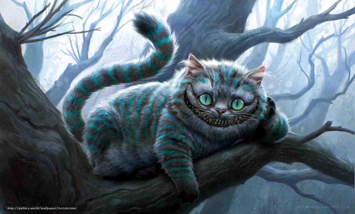 Cheshire Cat in a tree