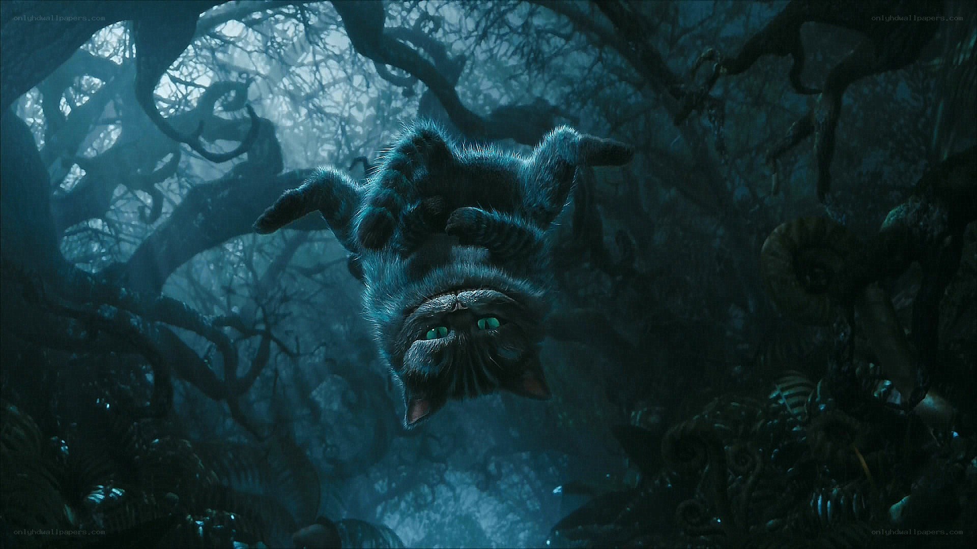 Cheshire Cat in dark forest