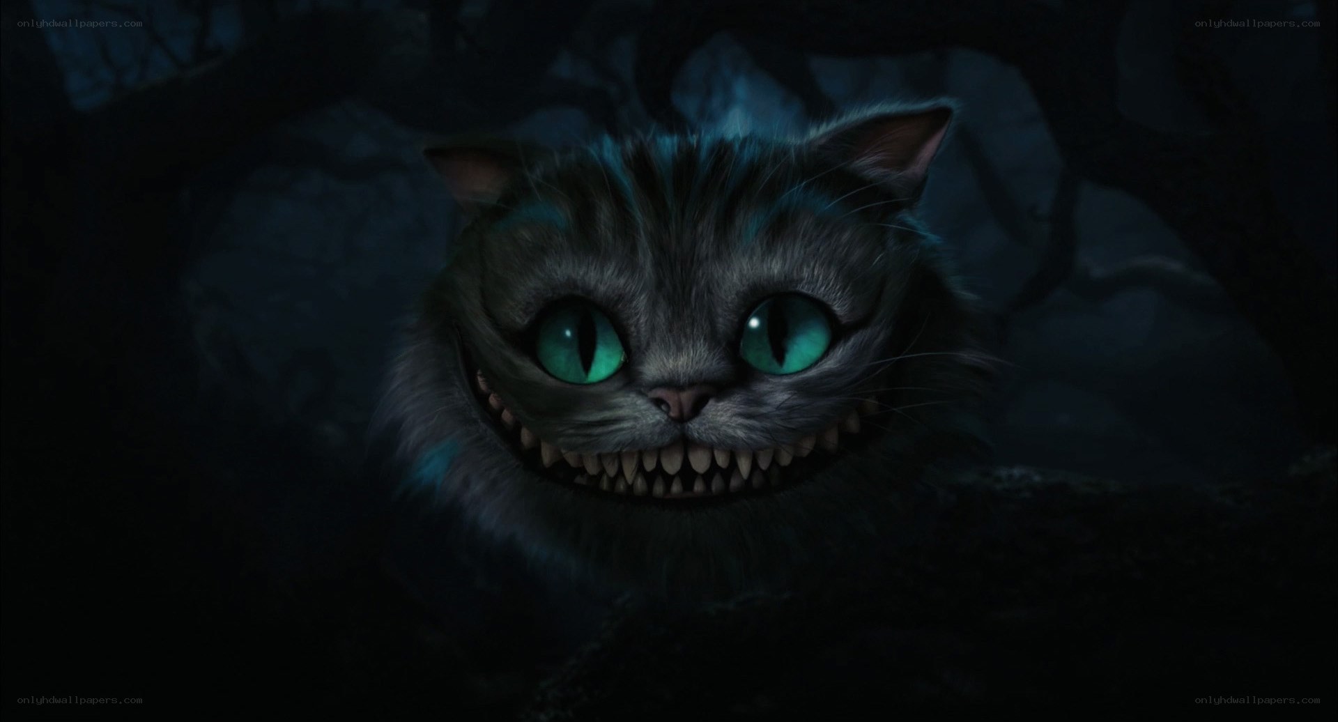 Cheshire Cat in dark forest