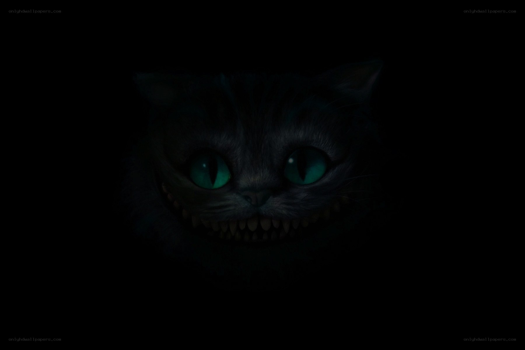 Cheshire Cat in darkness