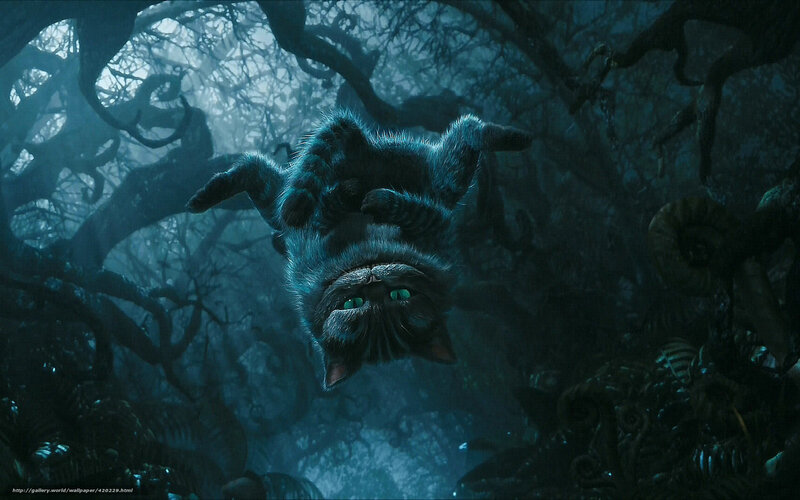 Cheshire Cat in Forest