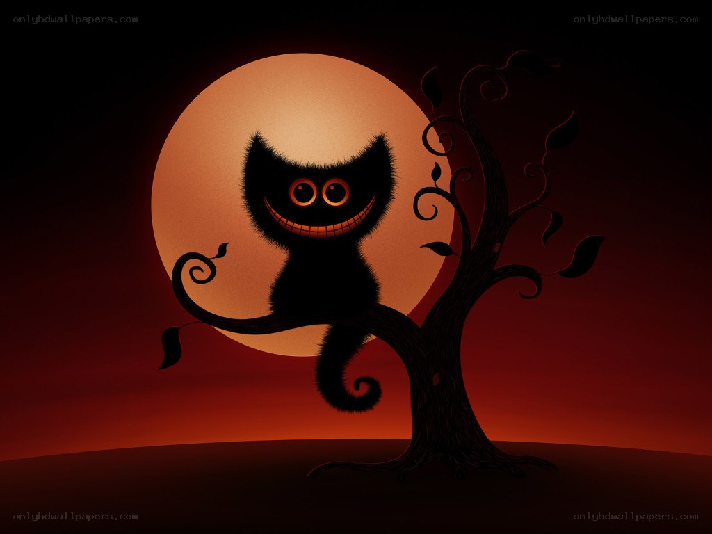 cheshire cat in moonlight