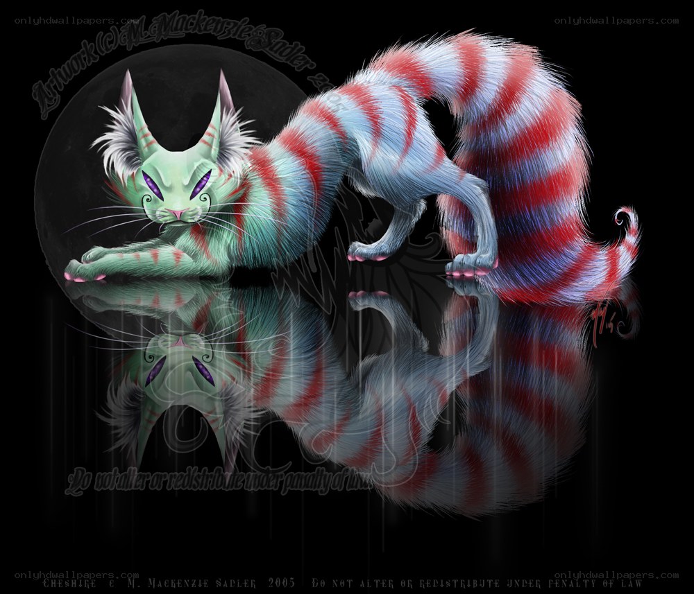 Cheshire Cat in Moonlight