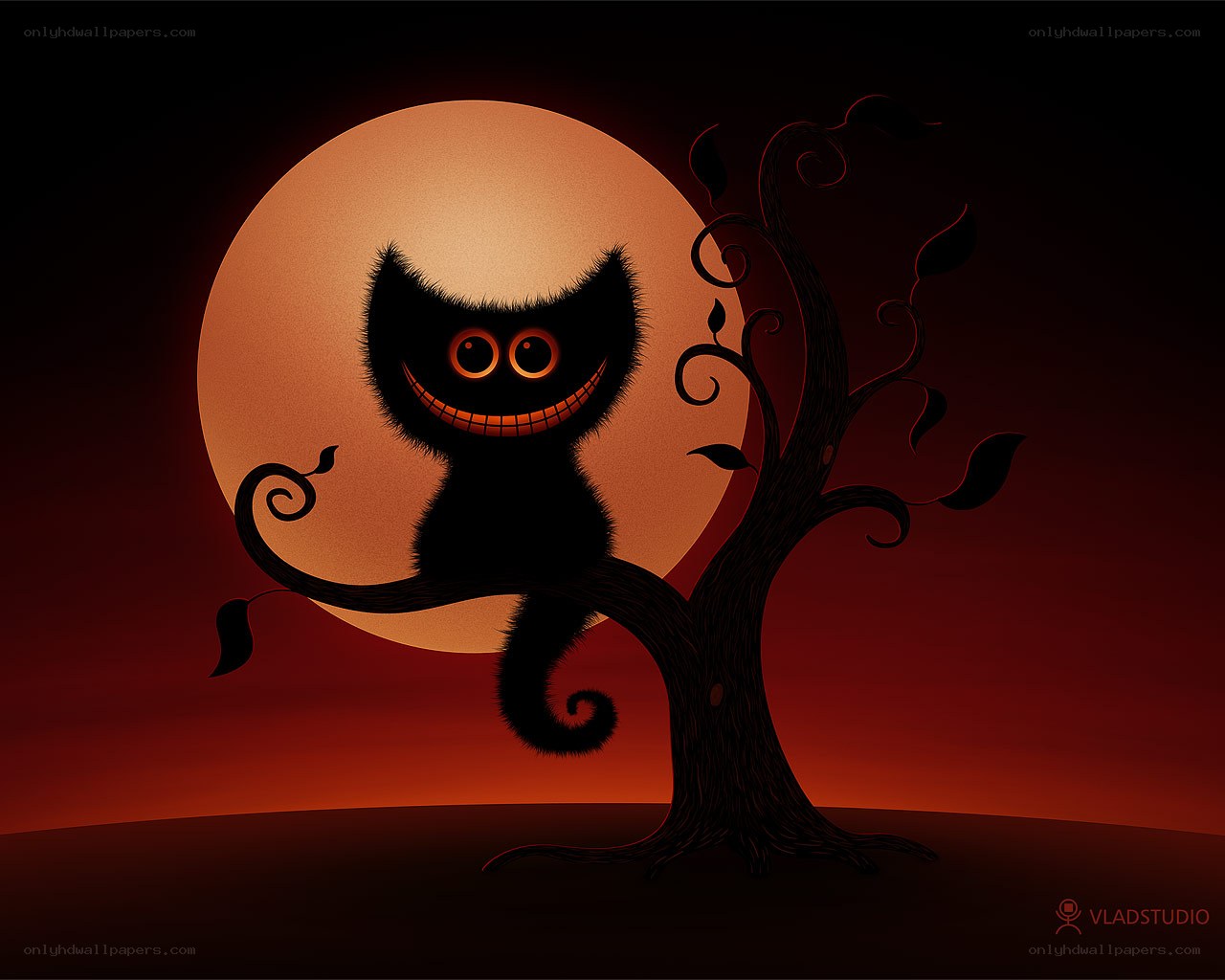 Cheshire Cat in Moonlight