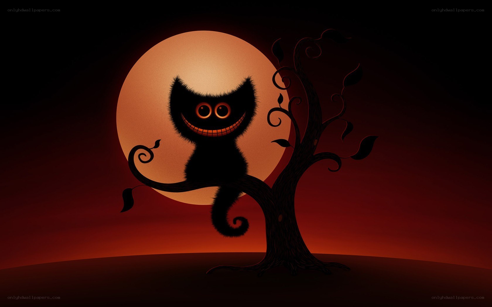 Cheshire Cat in moonlight