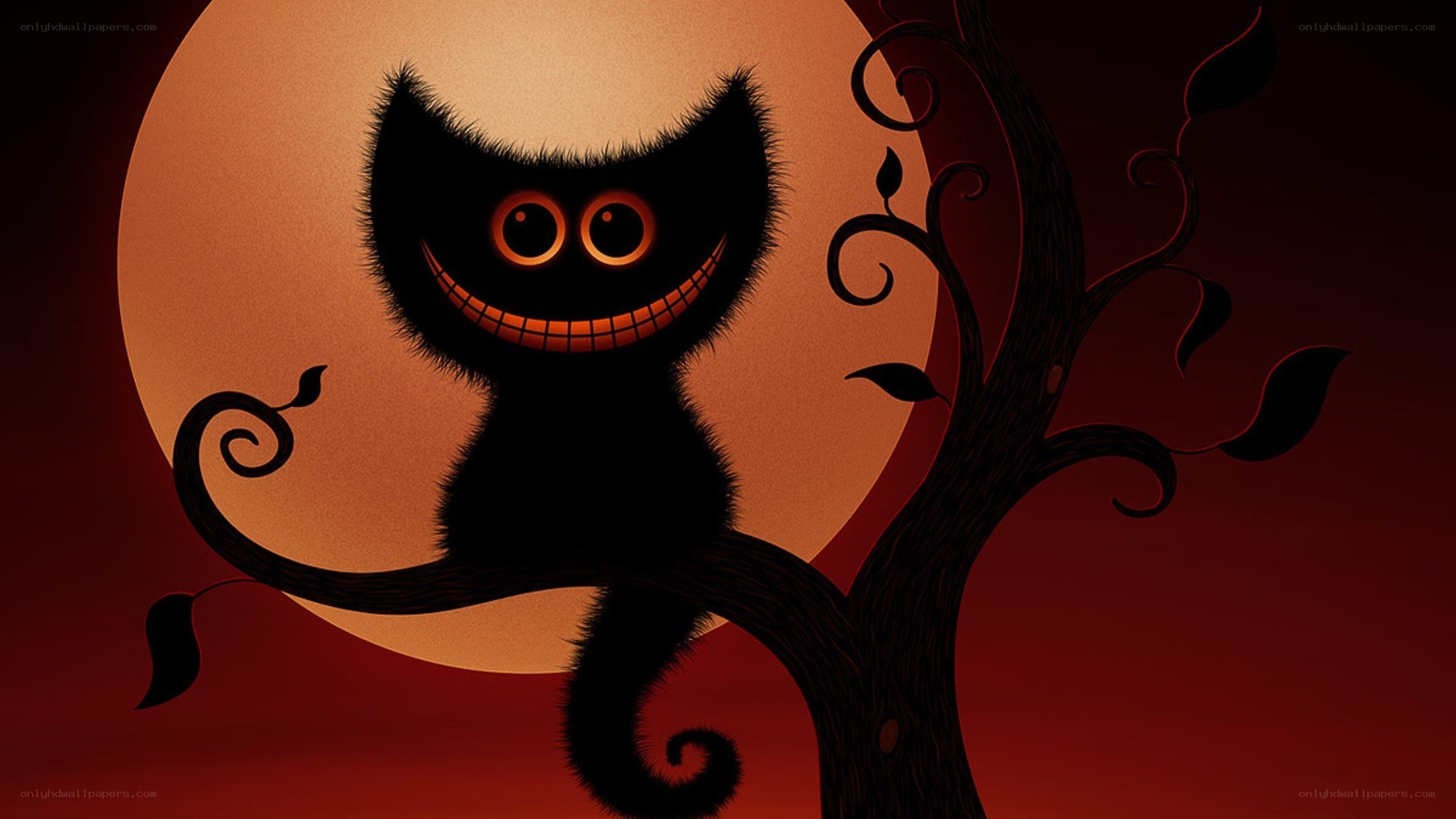 Cheshire Cat in moonlight