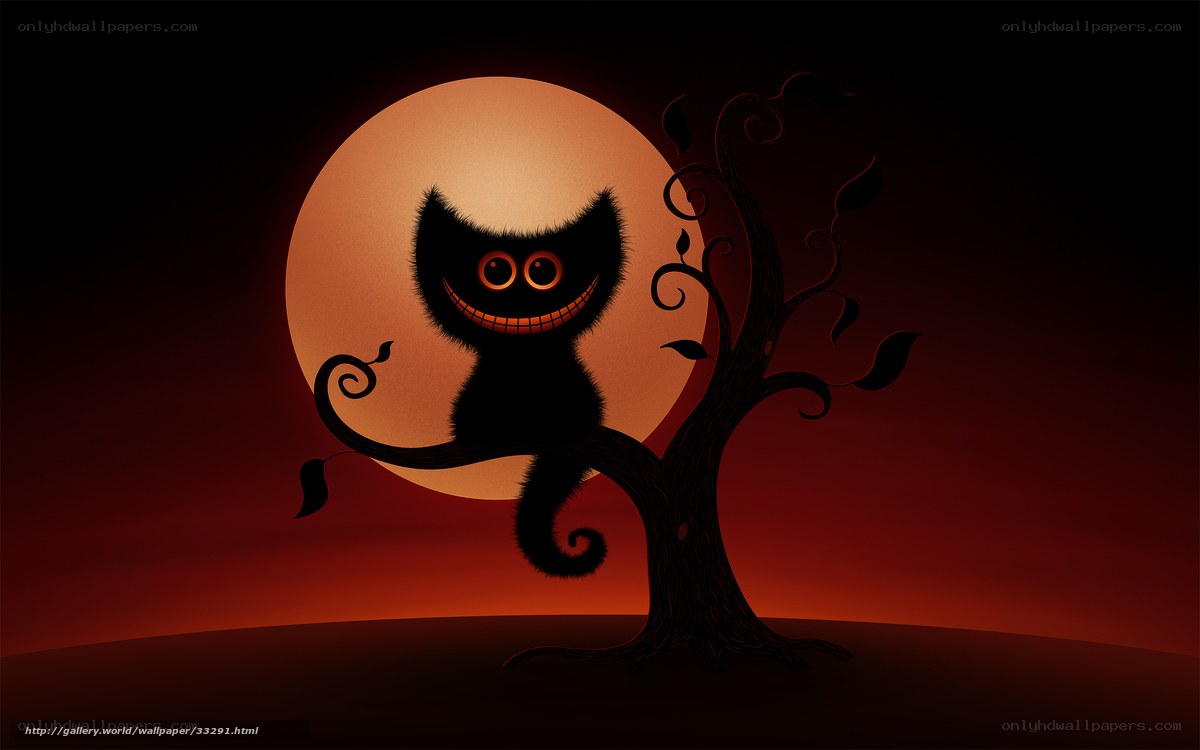 Cheshire Cat in Moonlight