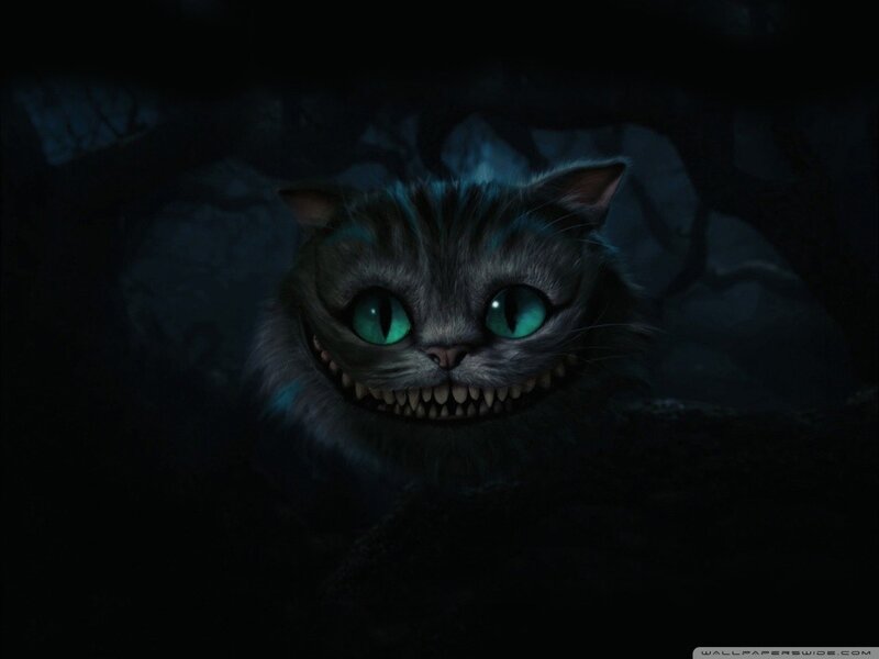 Cheshire Cat in the dark