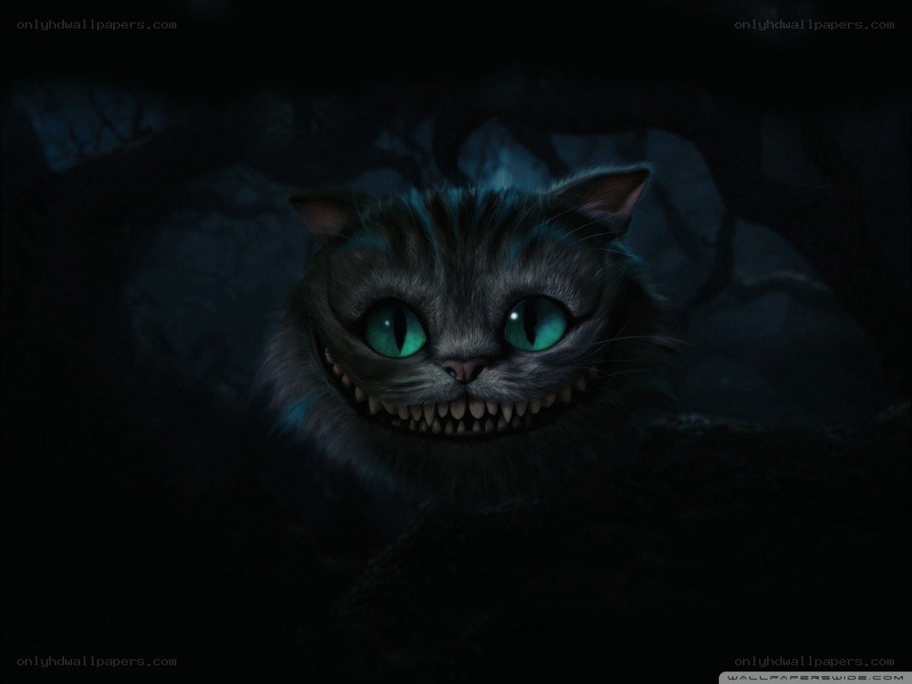 Cheshire Cat in the dark