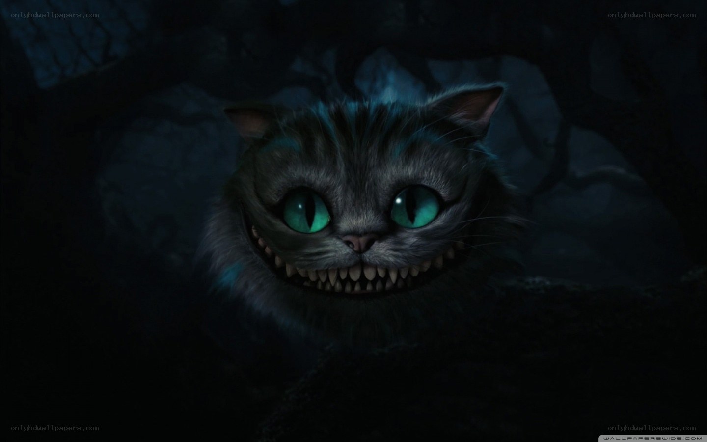 Cheshire Cat in the dark