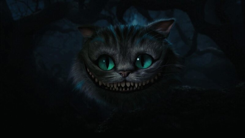 Cheshire Cat in the dark