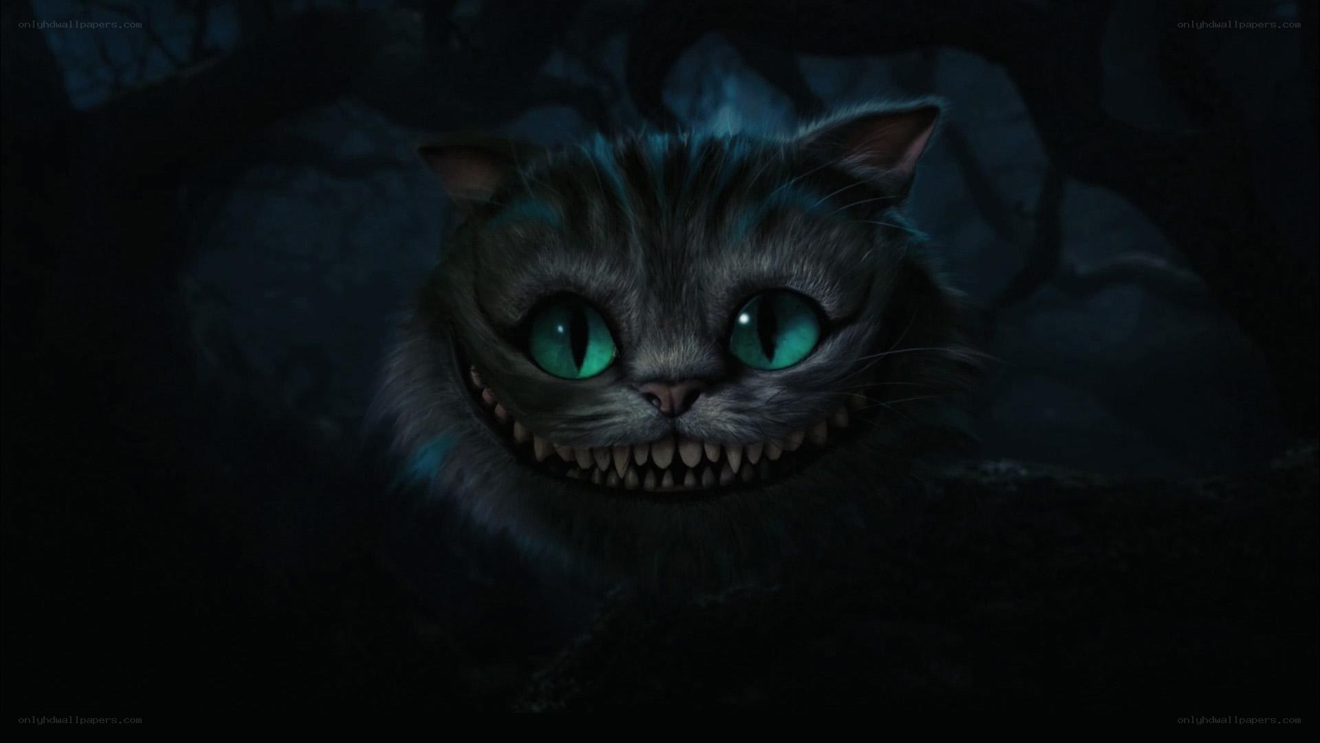 Cheshire Cat in the dark
