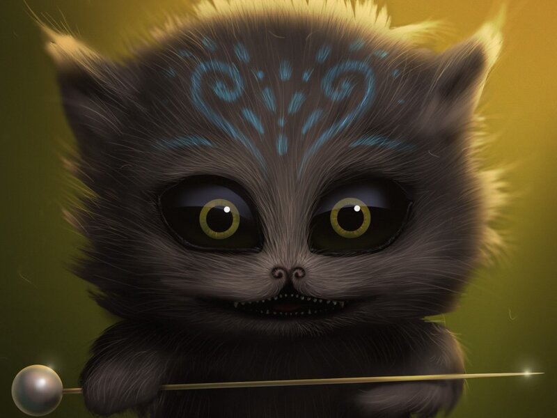 Cheshire Cat Kitten