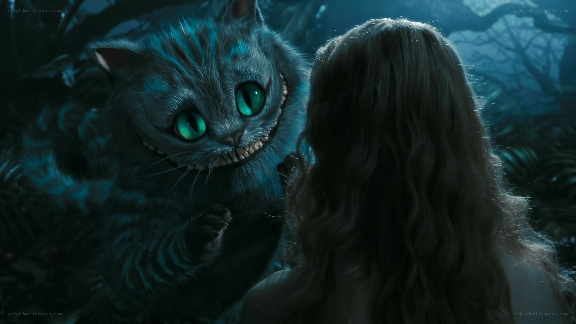 Cheshire Cat meets Alice