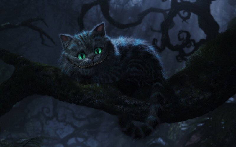 Cheshire Cat on Branch — Gray